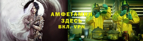 мдпв Бронницы