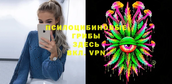 мдпв Бронницы