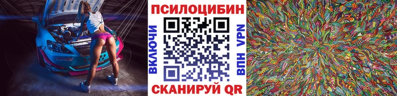 Псилоцибиновые грибы Psilocybe  Купить  Мосальск 